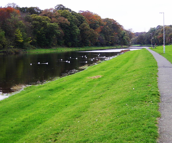 Riverside Park - Halstead