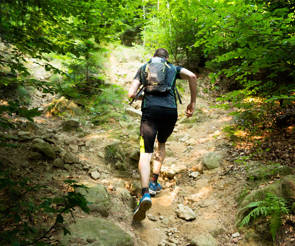 Warkentine Trail - Halstead