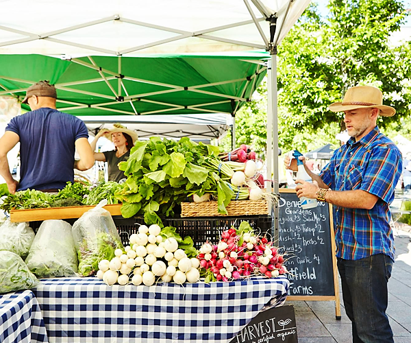 Farmers Market - Halstead