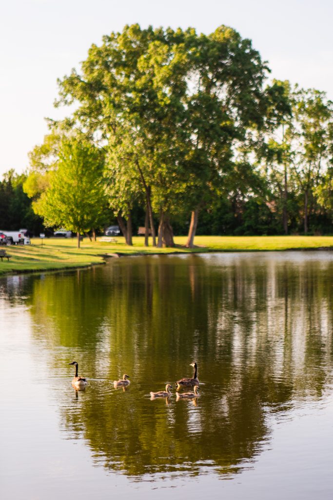 Long Term RV Stays Texarkana